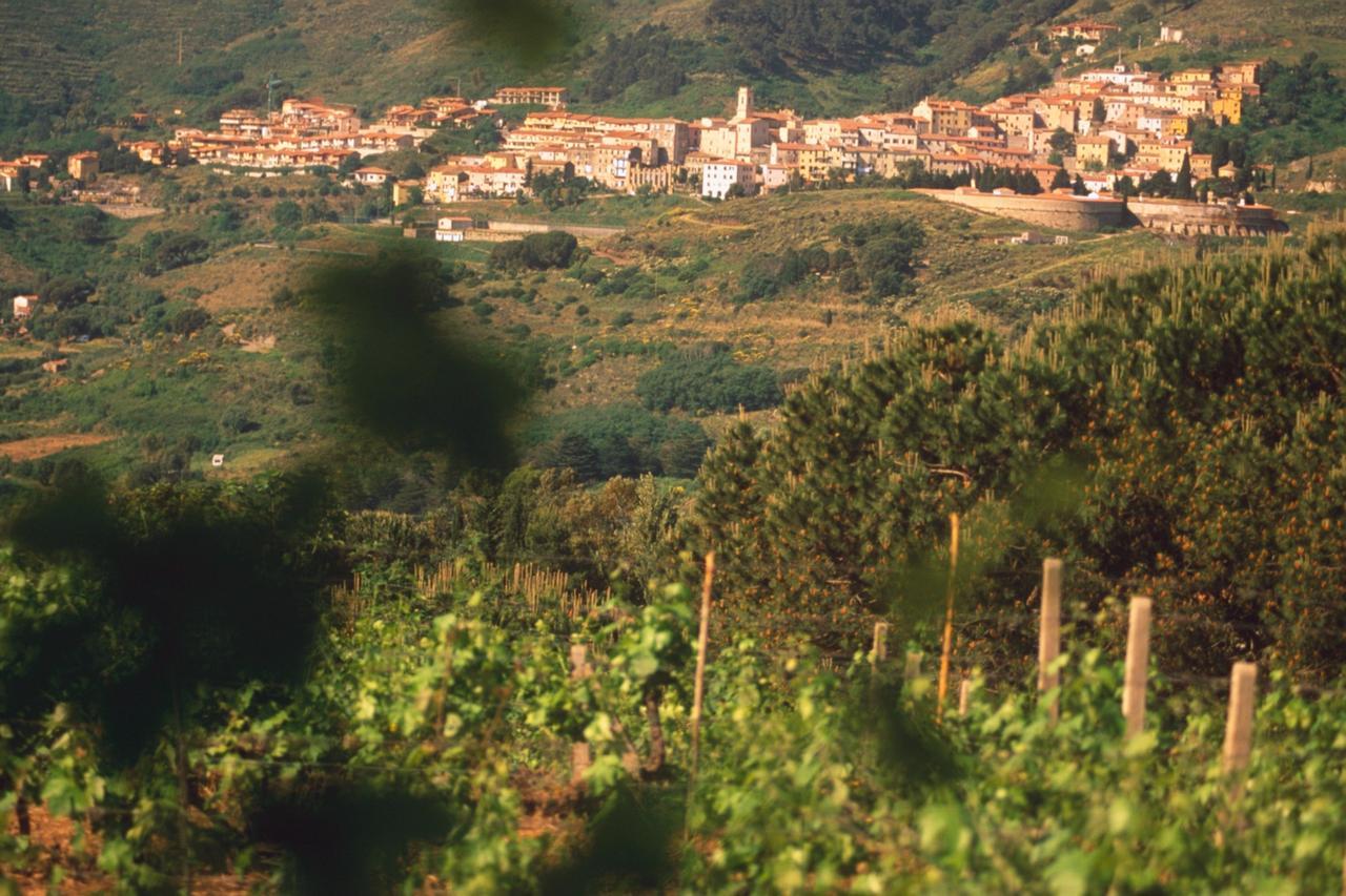 La Chiusa Di Rio Aparthotel Rio dellʼElba Exteriör bild